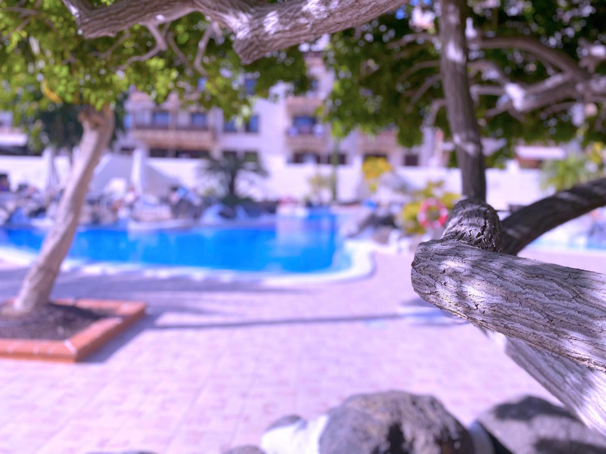Tropicalidays Costa Mar Apartment Costa Del Silencio Bagian luar foto