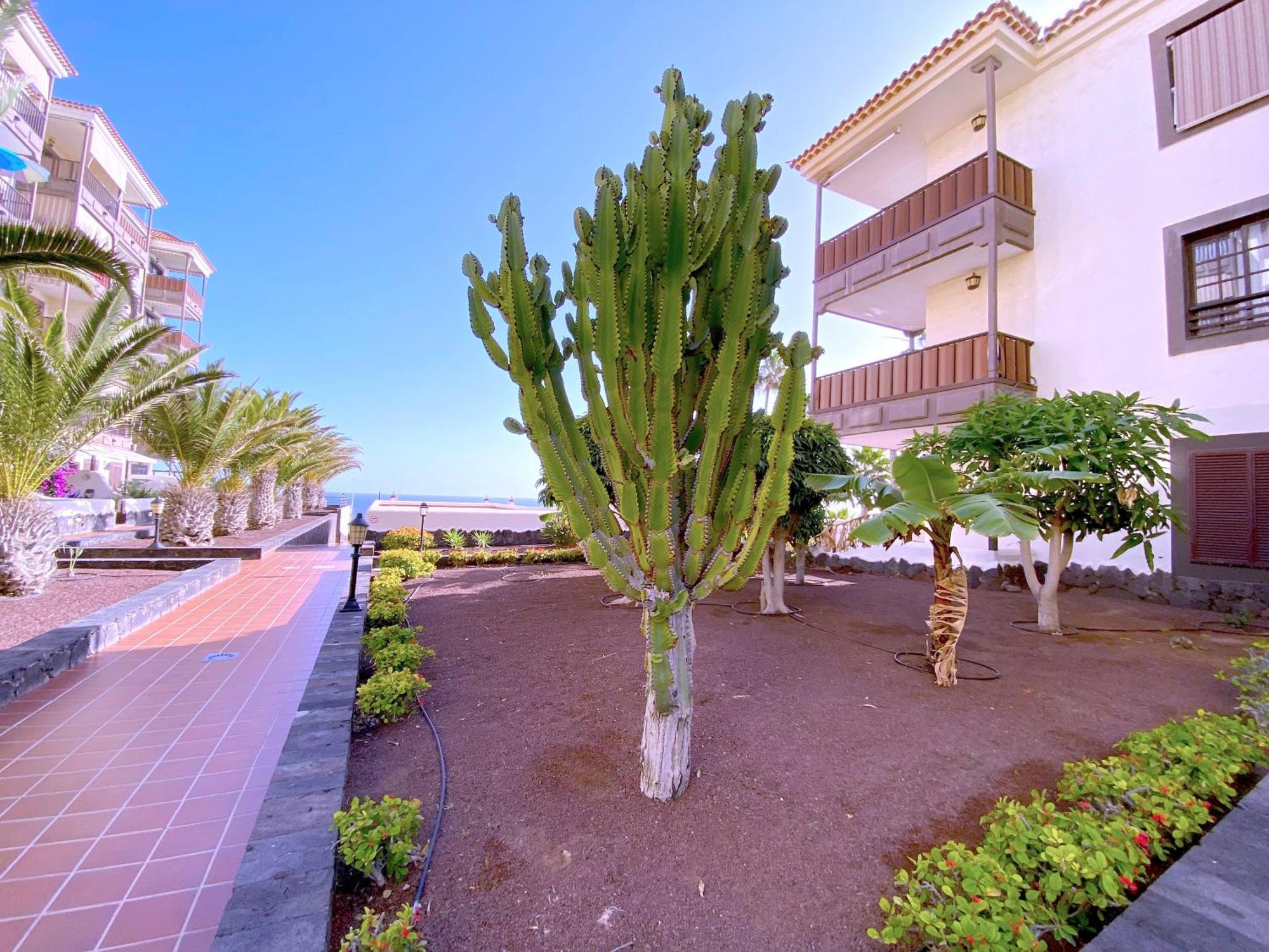 Tropicalidays Costa Mar Apartment Costa Del Silencio Bagian luar foto